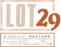 Lot 29 Logo